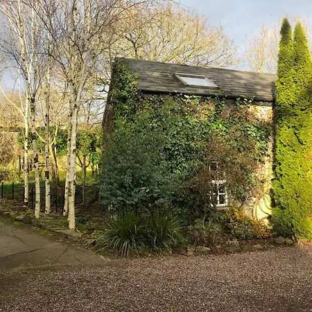 The Courtyard *