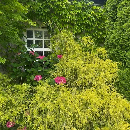 The Courtyard Appartement